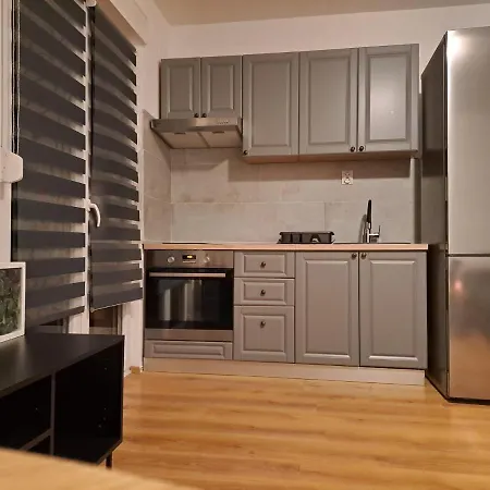 Apartmensts Arsen 928 プーラ